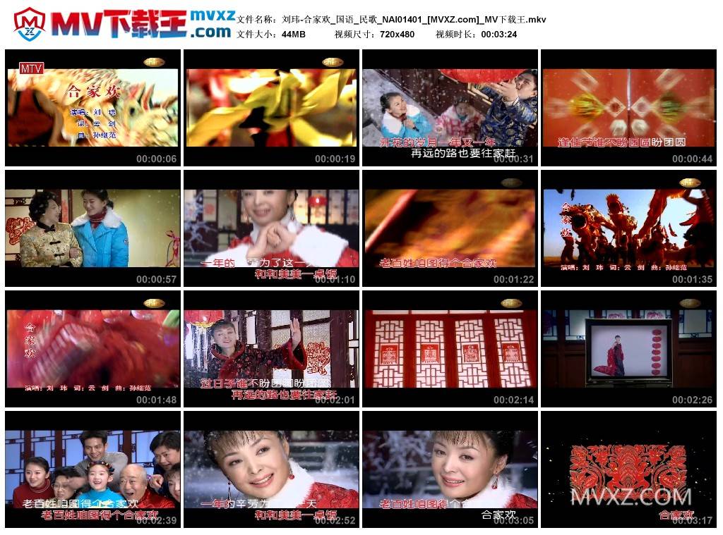 刘玮-合家欢_国语_民歌_NAI01401